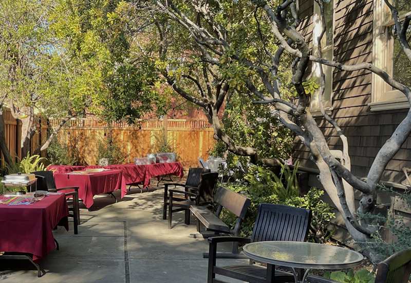 View of side garden